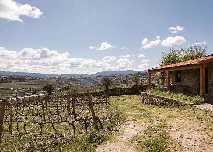 Quinta Da Portela - Casa Visconde Arneiros - By Met