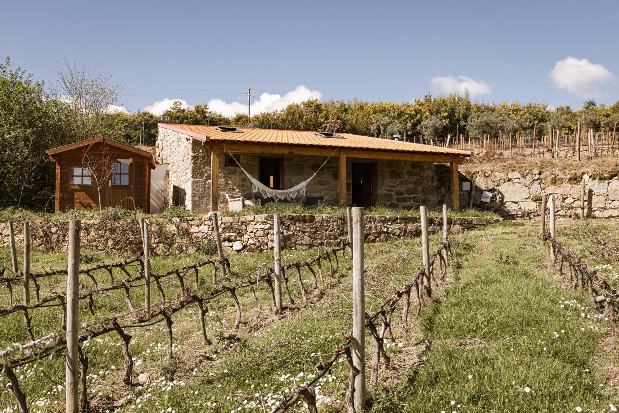 Quinta Da Portela - Casa Visconde Arneiros - By Met Lamego