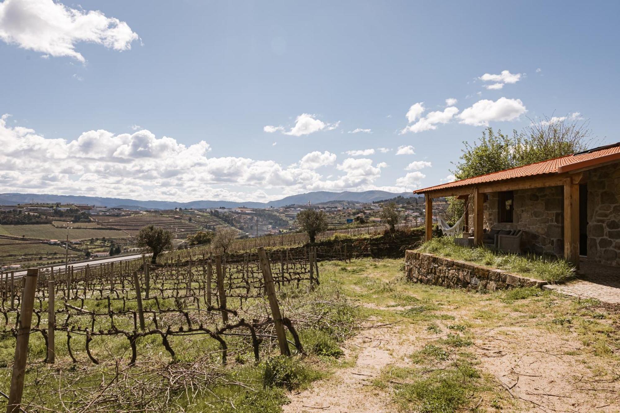 Quinta Da Portela - Casa Visconde Arneiros - By Met