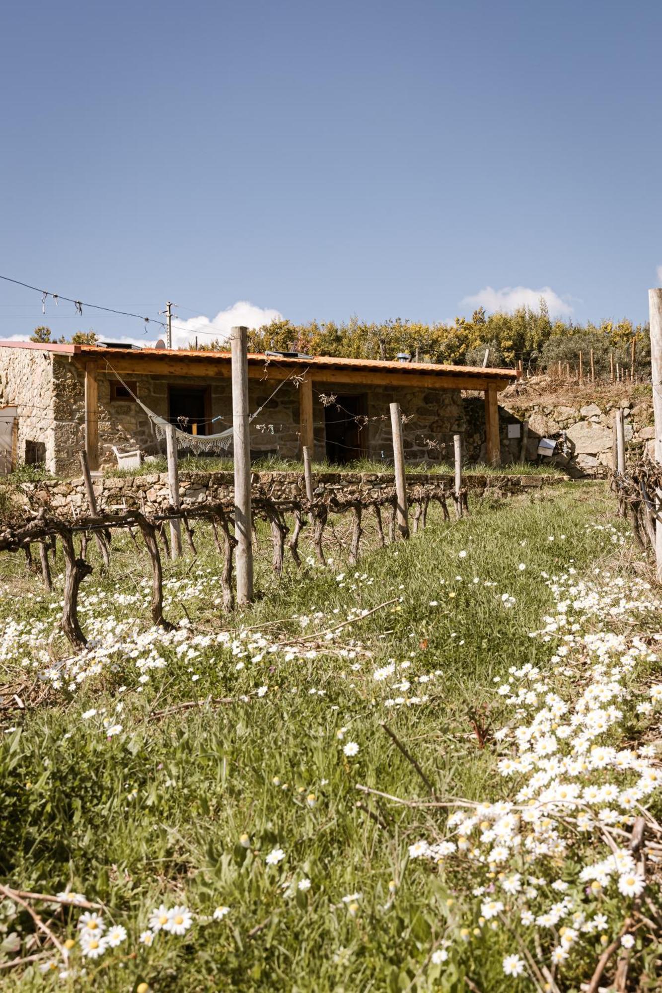 Quinta Da Portela - Casa Visconde Arneiros - By Met Bed & Breakfast
